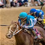 what horse to bet in the kentucky derby